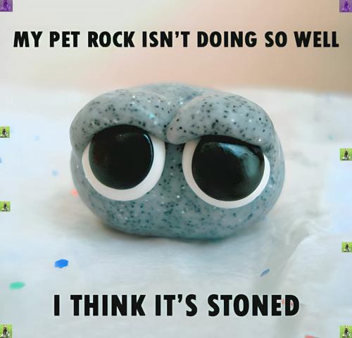 FB_IMG_1741282914481