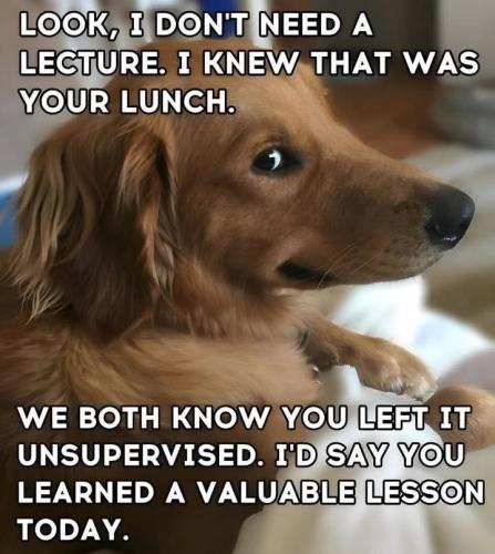 FB_IMG_1742073485481