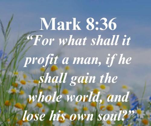 72398478-c872-451d-aa5f-33418417a611