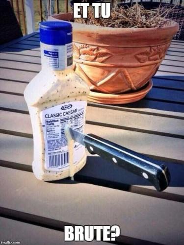 FB_IMG_1742043900292