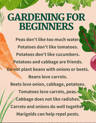 Screenshot 2025-03-10 150435