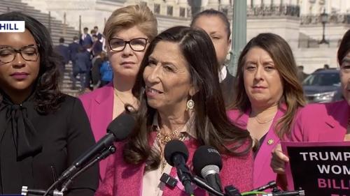 DEMOCRATS LOVE WOMEN PINK LADIES