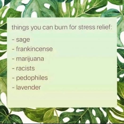 image_29849AD2-345E-499D-89CC-8A0F0698A675