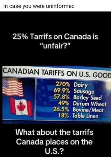 image_2025-03-09_094638192