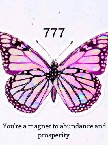 485883107_122119105580710739_3165244604615302750_n