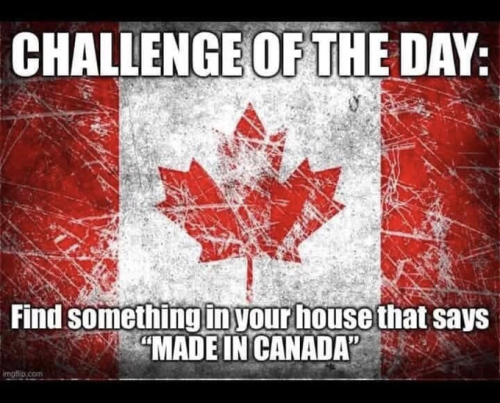 image_2025-03-14_062155524