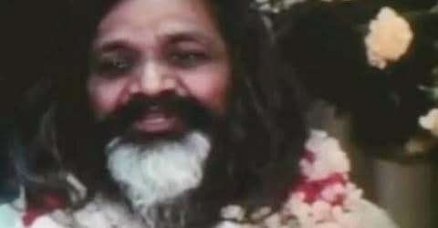 ,     ,       273410949_71196934381