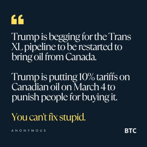 FB_IMG_1740851199644