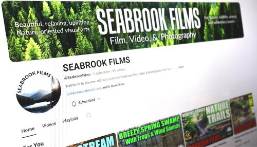 YouTube_Seabrook_Films_Pic