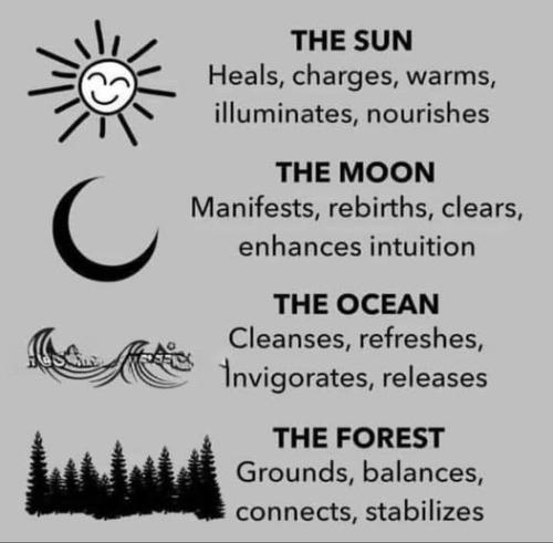 ,     ,       273410949_71196934381