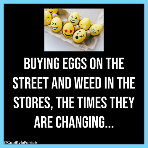 IMG_20250329_191743_206