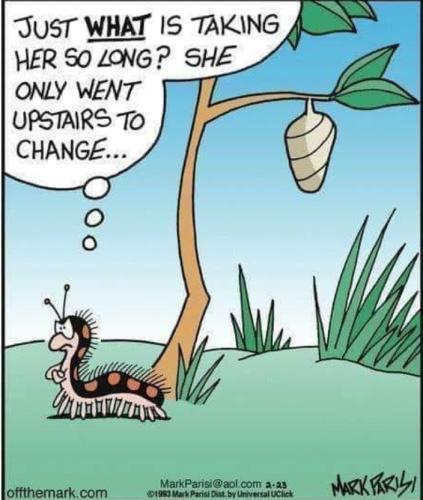 Screenshot_20250329_083458_Gallery