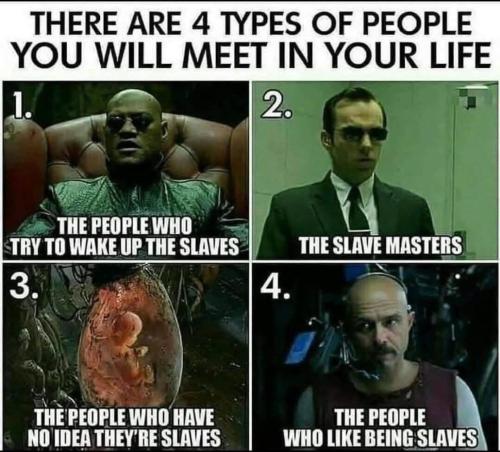 IMG_20250329_175021_796