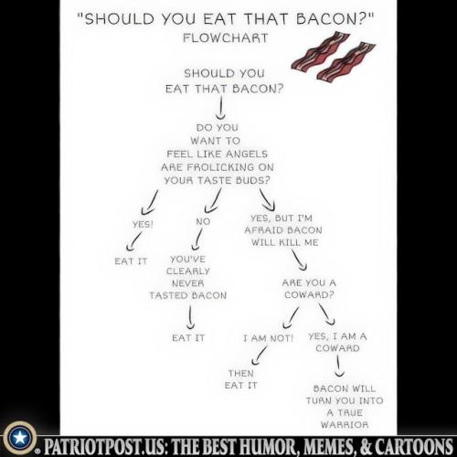 01JQFQXMQ0K14DCH0EH77K3WY5