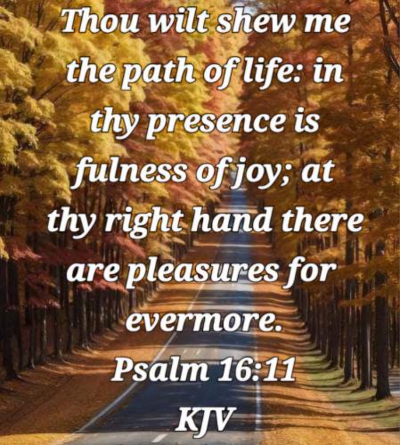 7ae5f3d0-e118-4adc-ba7d-f832c3c43da4