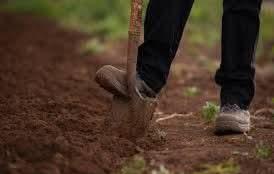 33dabfea-e07e-4026-b941-9584b21bb338