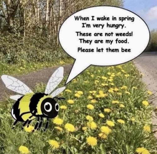 Image 18-03-2024 at 09.22