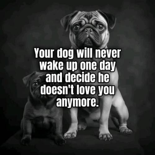 FB_IMG_1742317534823