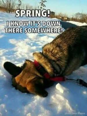 FB_IMG_1742848953817