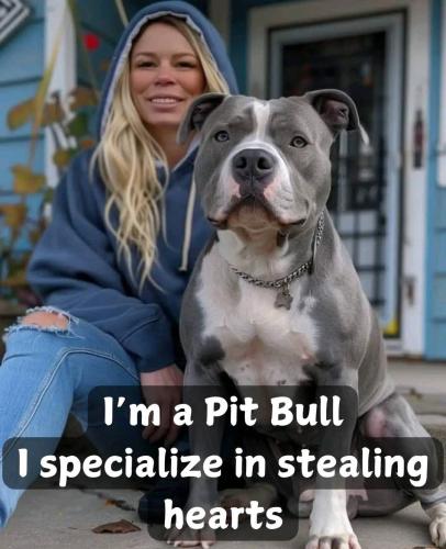 FB_IMG_1740864334426