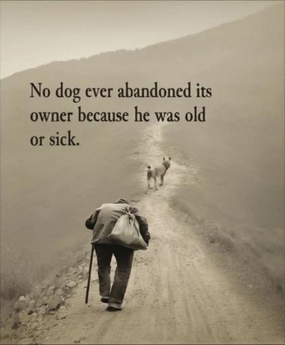 FB_IMG_1741193608086