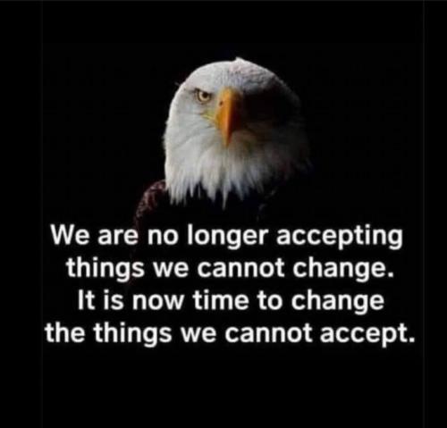 FB_IMG_1743358944433