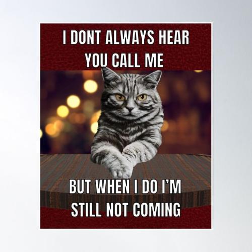 a2ac096fe6a4d8bed73538502bf5dcd9