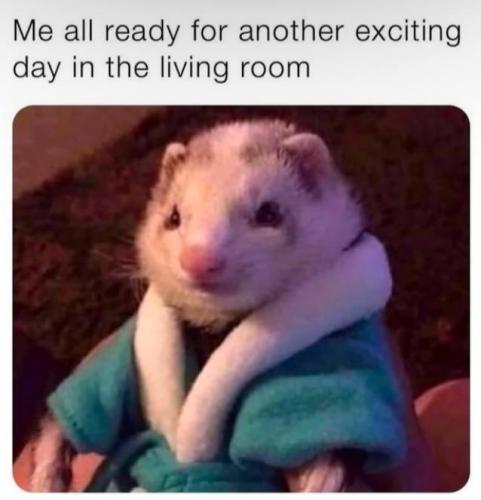 IMG_20250223_094912_924