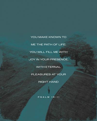 484363130_1063209175849775_8633712713923168319_n