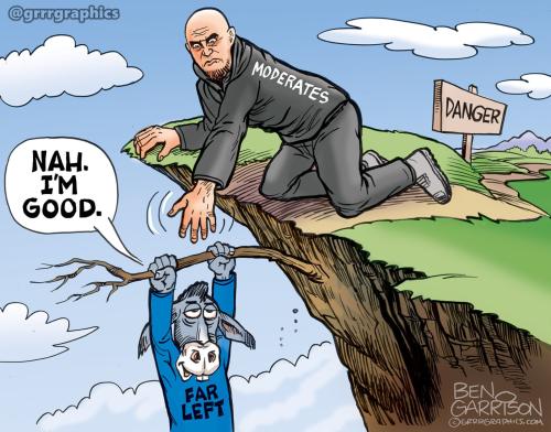Democrats-self-destruction-cliff-Fetterman-2025-1-1536x1205