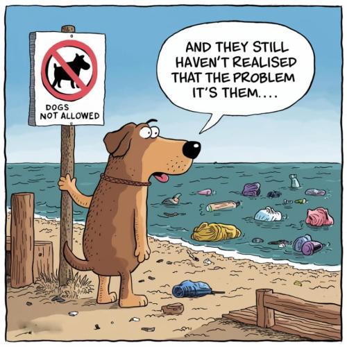 476688DE-20A0-4AA9-B915-F1F2DA3D7977