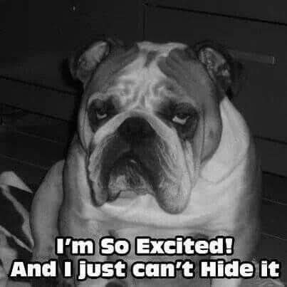 FB_IMG_1742824592132