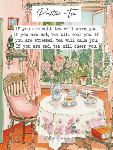 481814890_672162805161543_3424316643870547290_n