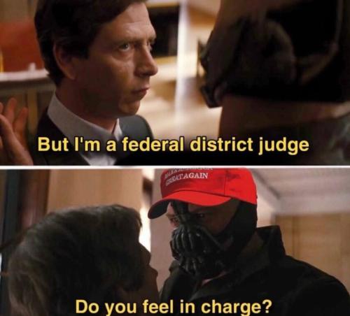 image_4CC715F8-5DAE-4992-A47D-79DC99C6FD50