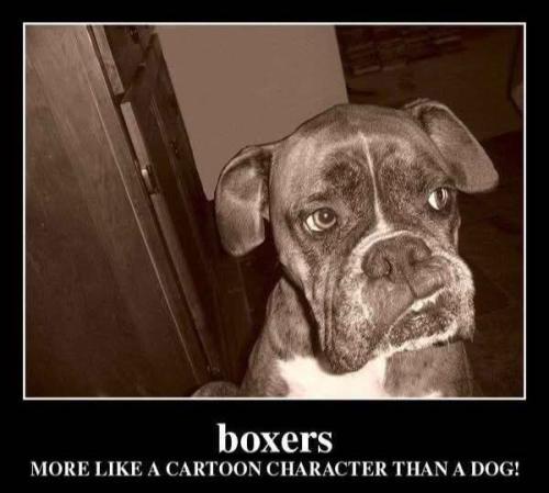 FB_IMG_1743264877645