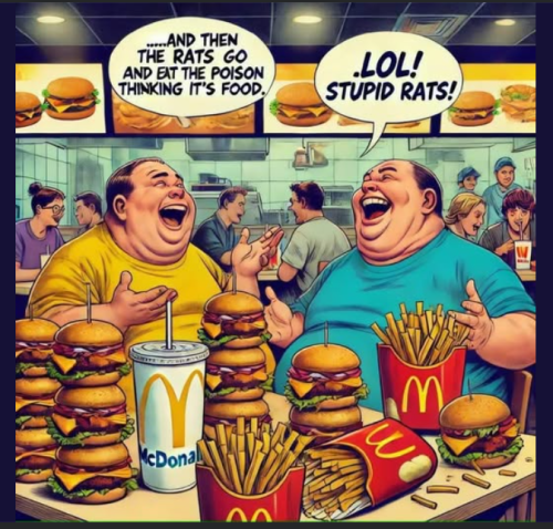 Screenshot 2025-03-11 192002