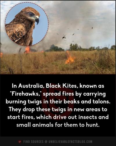 3B089383-6FE4-41D9-B63B-A11B22AA974B