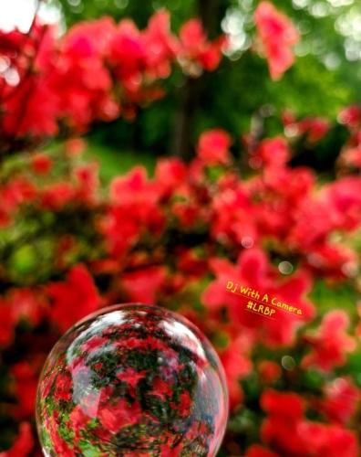 Screenshot_20250318_081510_Gallery