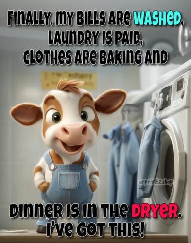 486359183_1066271242193475_8649946081381780692_n