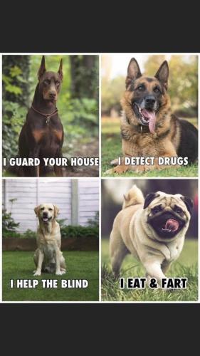 FB_IMG_1742680669993