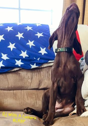 Screenshot_20250314_072824_Gallery