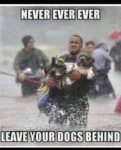 FB_IMG_1742156838163