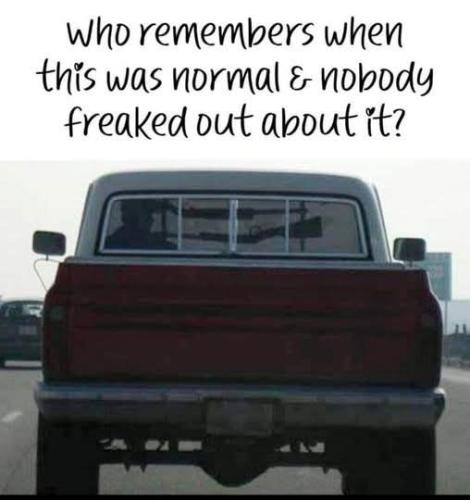 FB_IMG_1740939318396