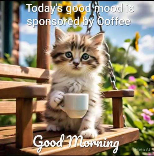 486516445_10232929438765416_8524031594898263992_n