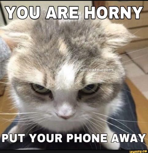 f467ae0fe3f54993047cdba53edd0f641c2e48a8e6df066b372836a24e83dc12_1