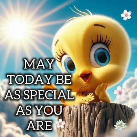 FB_IMG_1741726072410