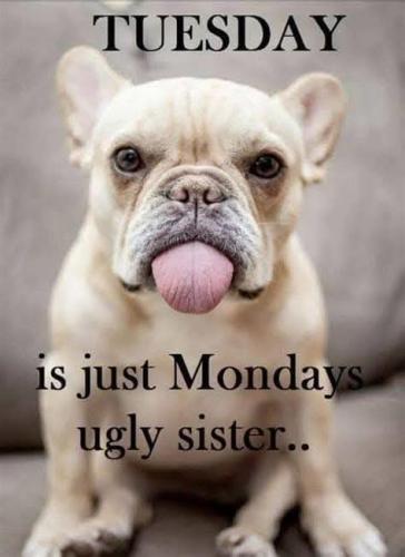 FB_IMG_1741693490825