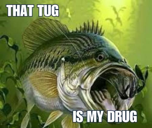 FB_IMG_1743105863024