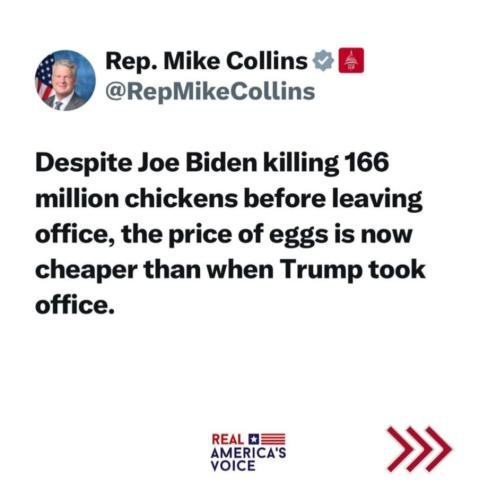 Screenshot_20250311_105133_Instagram