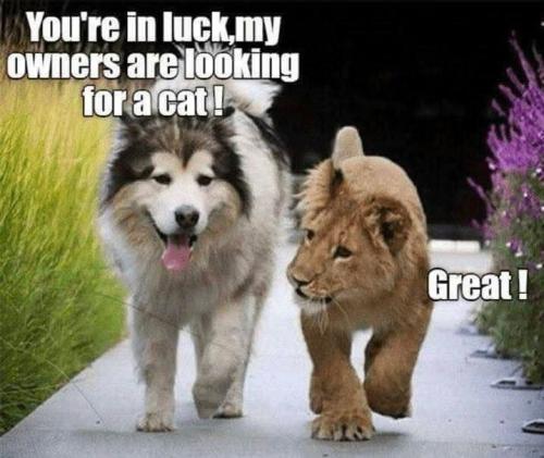 FB_IMG_1743117804682